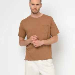 T-shirt EASYY col rond - 100% coton - 219CHESTNUT